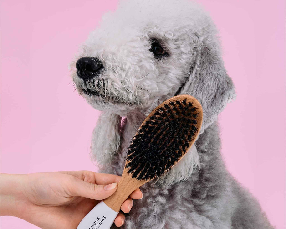 Fur Rituals Brush with Boar Bristles